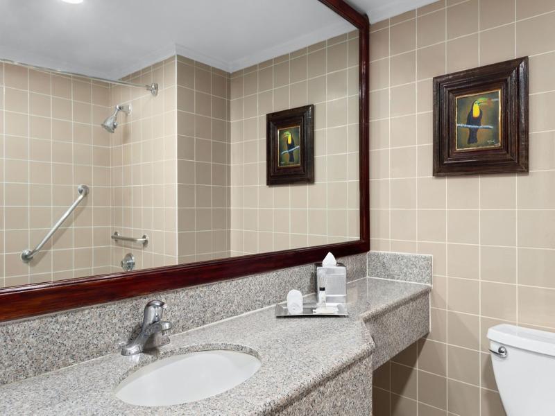 Delta Hotels by Marriott San Jose Aurola image