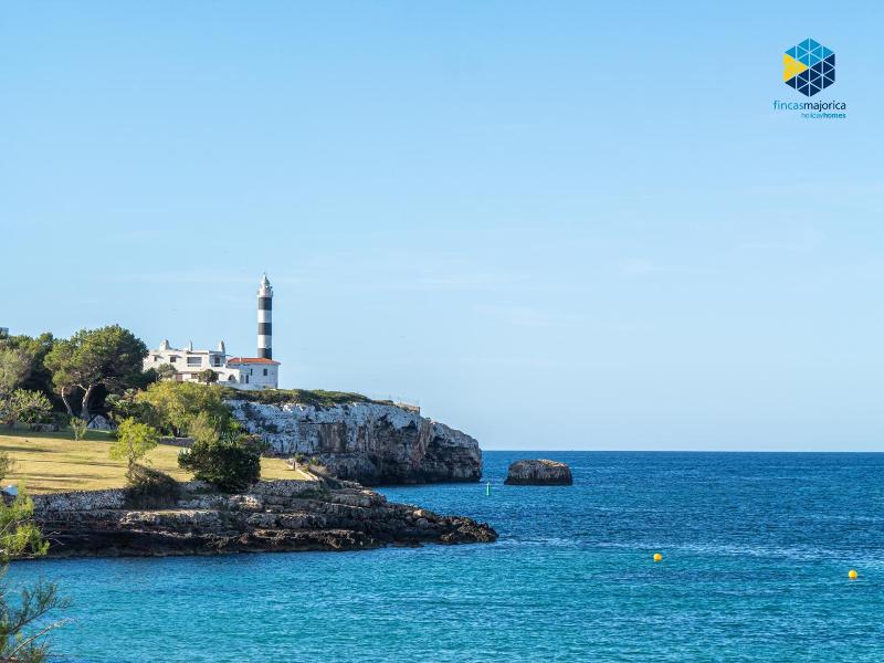 Bella Maria image