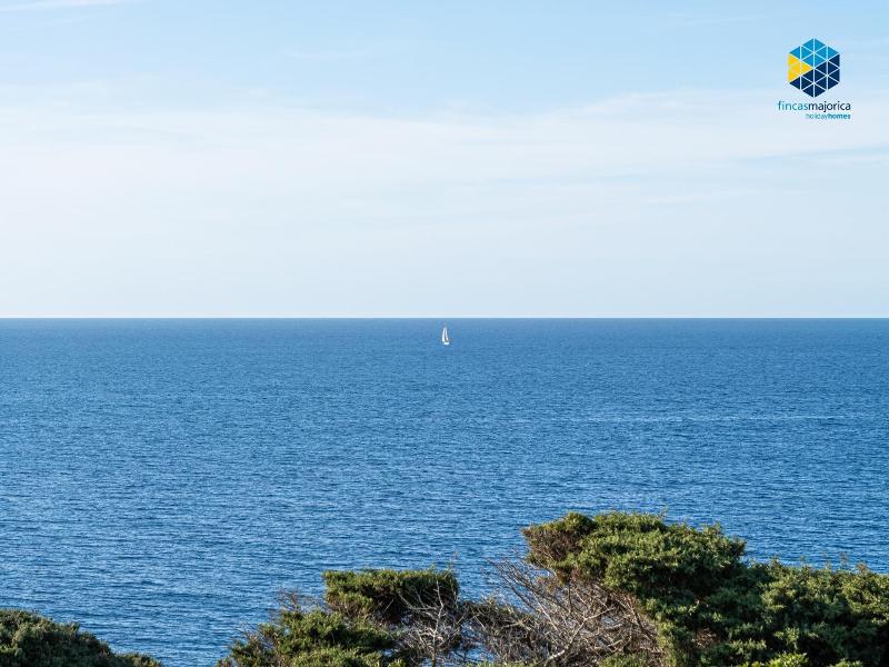 Bella Maria image