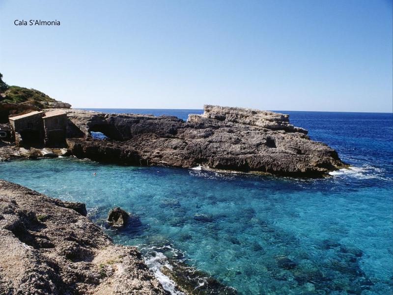 Bella Maria image