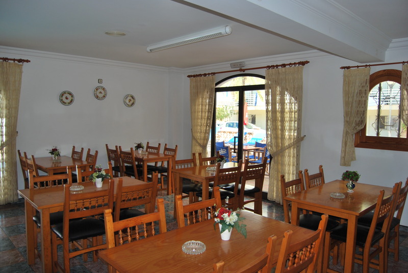 Bella Maria image