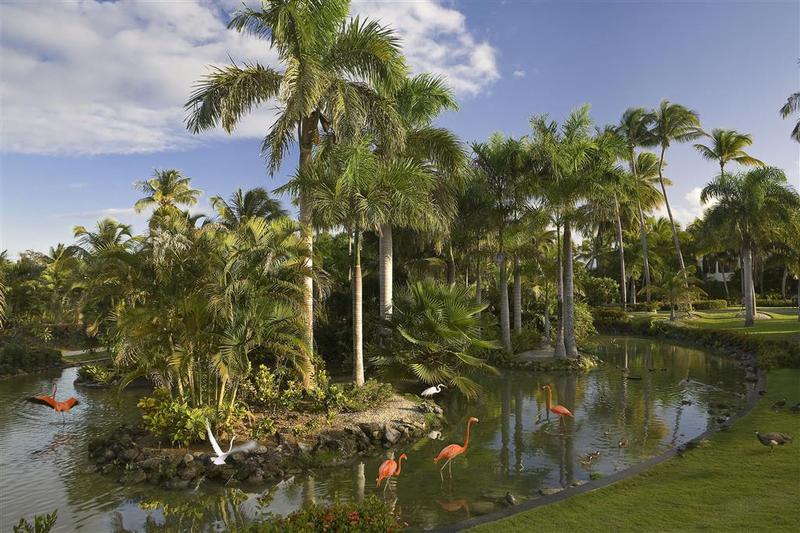 Melia Caribe Tropical All Inclusive Beach & Golf