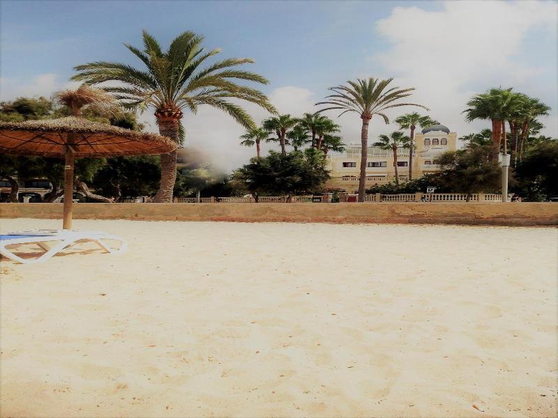 Ciutat Jardi — general view