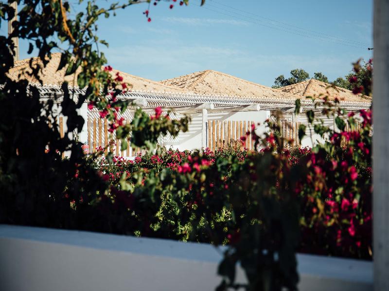 Octant Vila Monte image