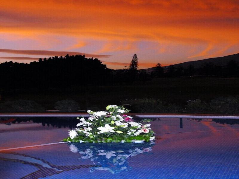 Tamisa Golf image