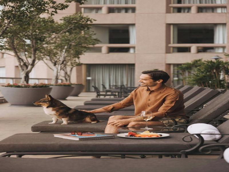 JW Marriott Hotel Mexico City image