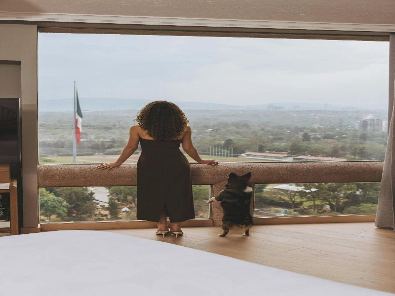 JW Marriott Hotel Mexico City image