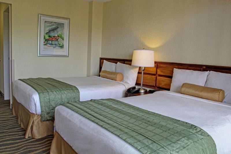 Irazú Hotel & Studios image