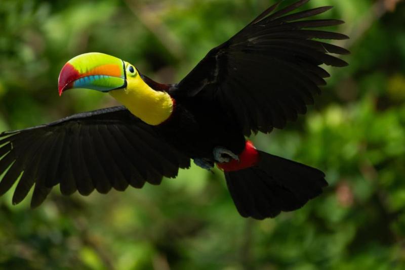 Borinquen Thermal Resort