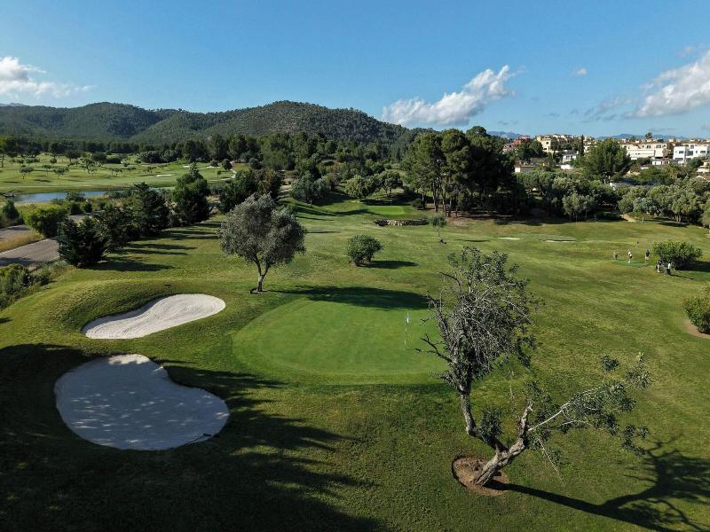 Sheraton Mallorca Arabella Golf Hotel image