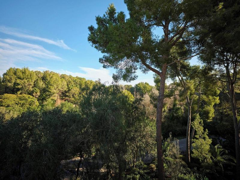 Sheraton Mallorca Arabella Golf Hotel image