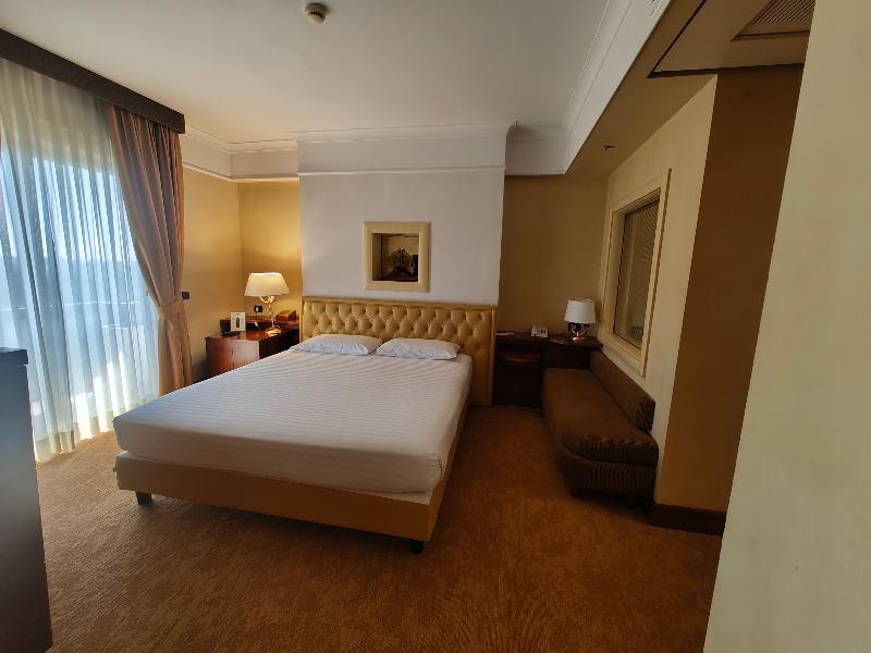 Pineta Palace image