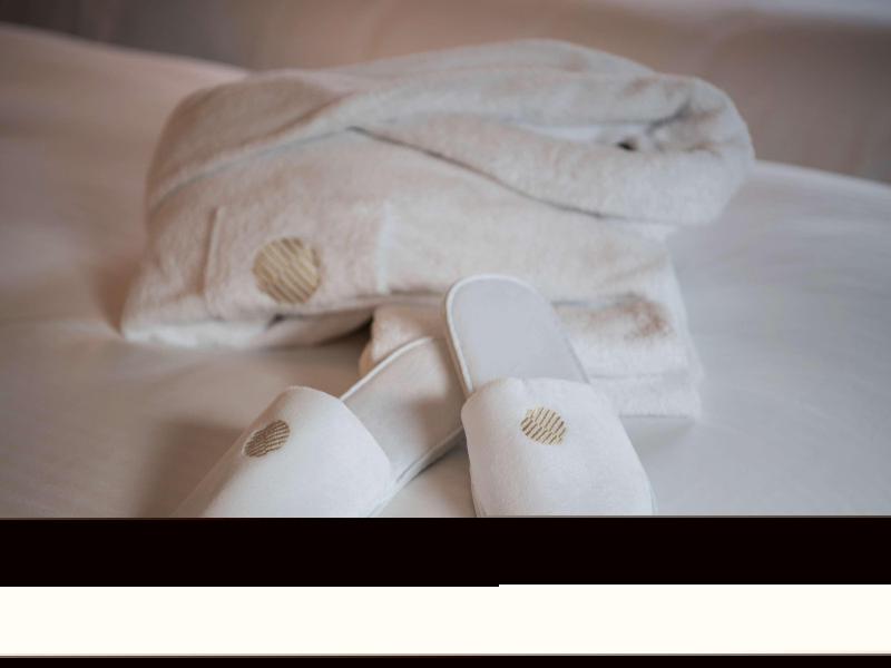 Pullman Paris Montparnasse image