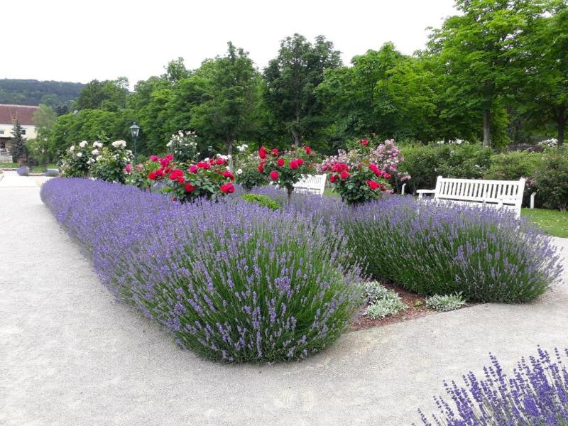 Pytloun Schlosshotel Weikersdorf image