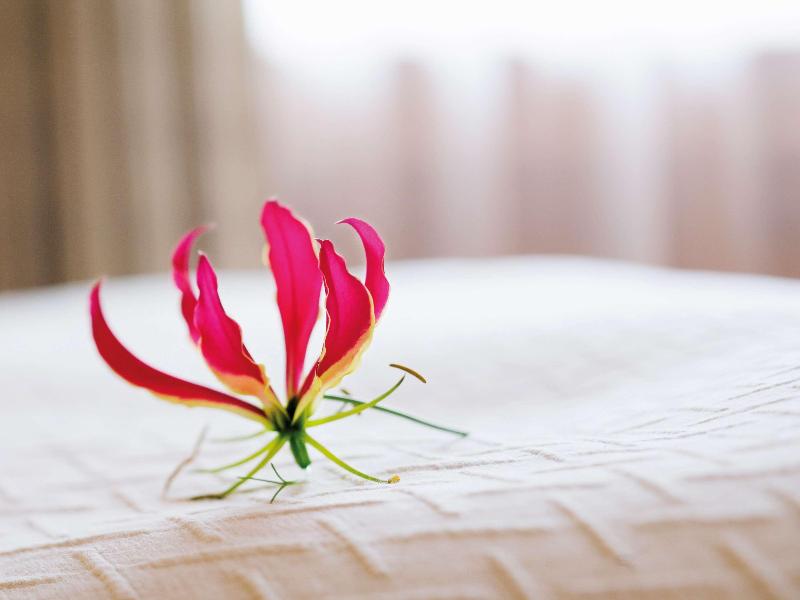 Movenpick Hotel And Casino Geneva