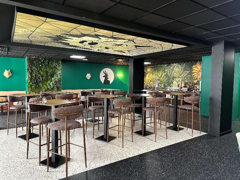 ibis Styles Lyon Gorge de Loup Saphir image