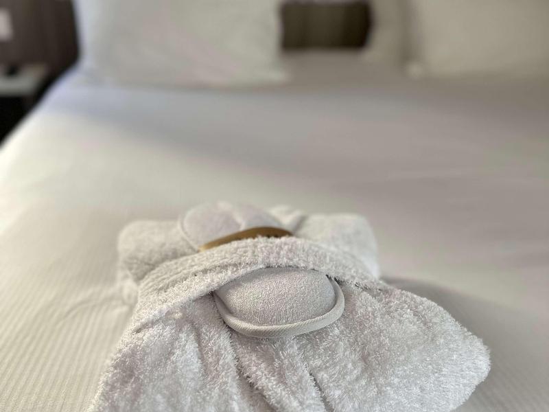 ibis Styles Lyon Gorge de Loup Saphir image