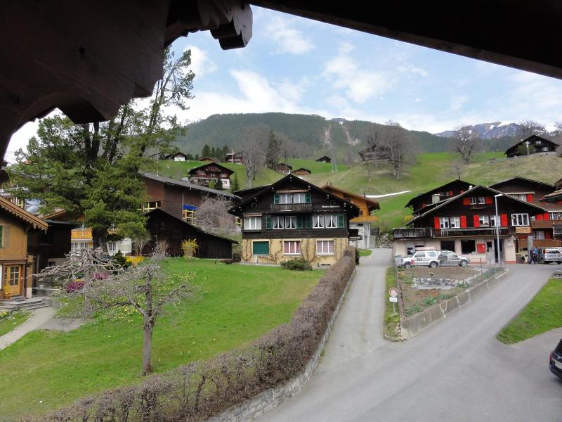 Steinbock image