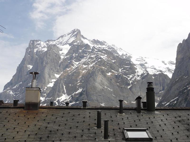 Steinbock image