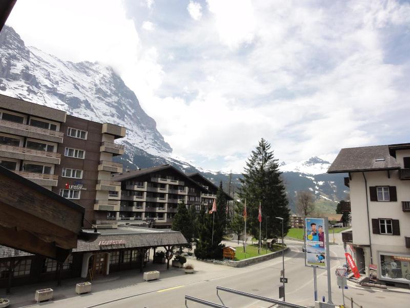 Steinbock image
