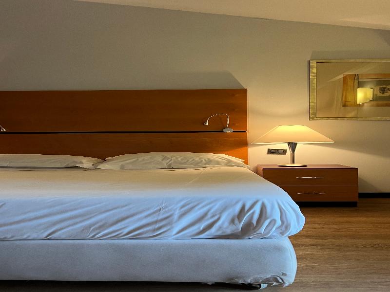 Hotel Igea image