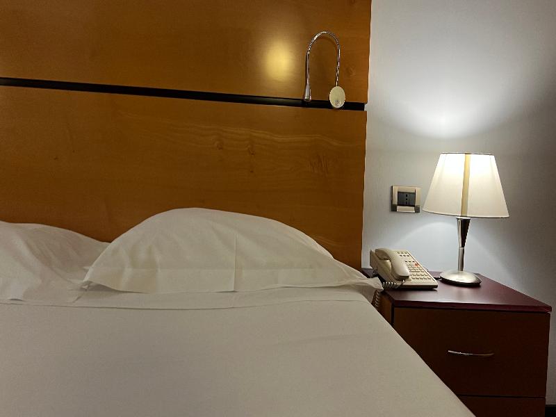 Hotel Igea image