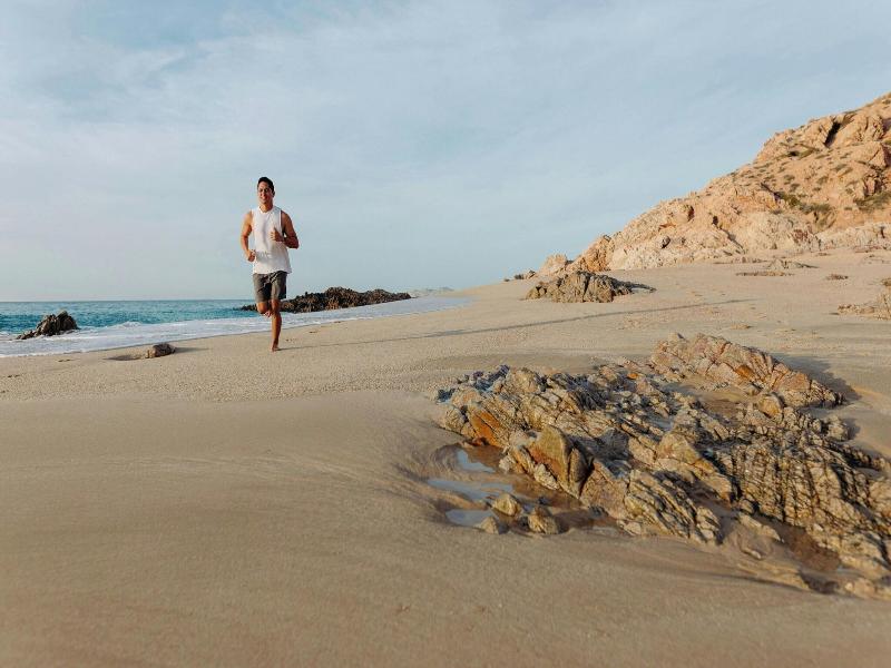 The Westin Los Cabos Resort Villas & Spa image