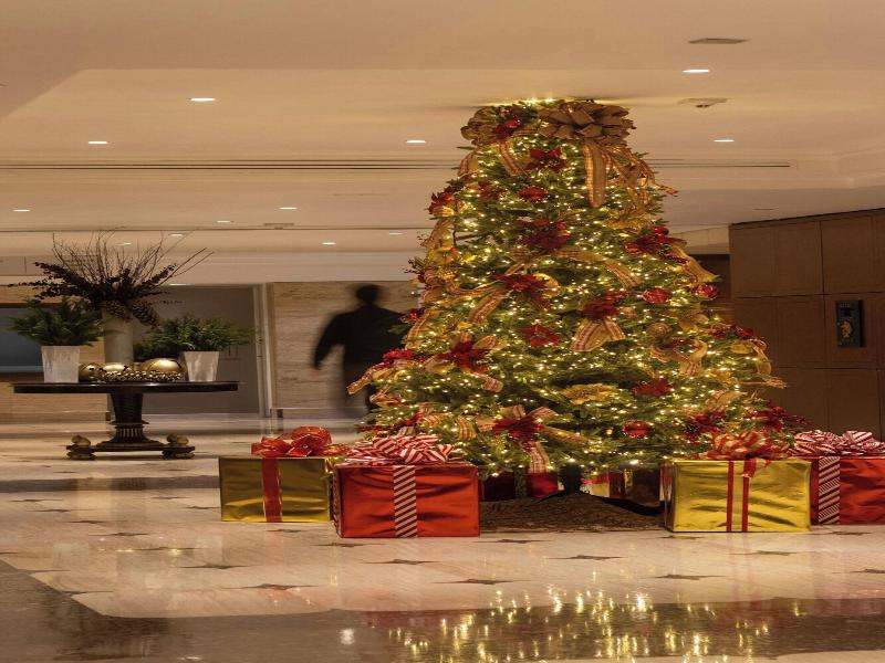 Sheraton Mexico City Maria Isabel Hotel image