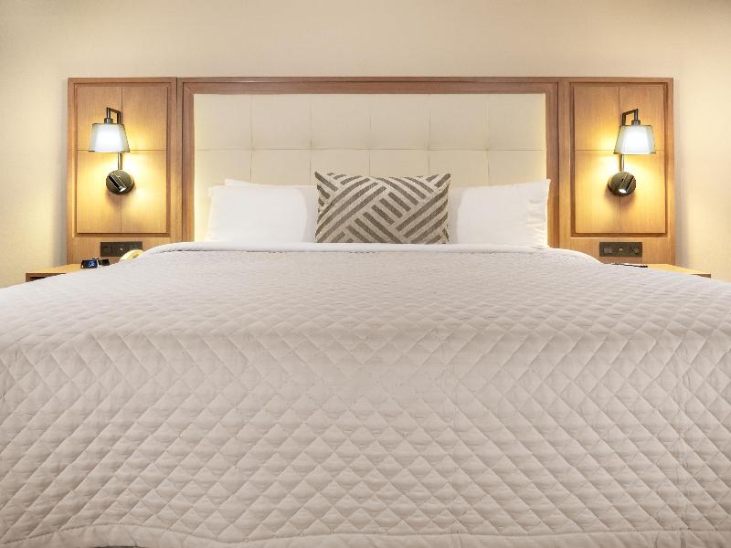 MS Milenium Monterrey, Curio Collection by Hilton image