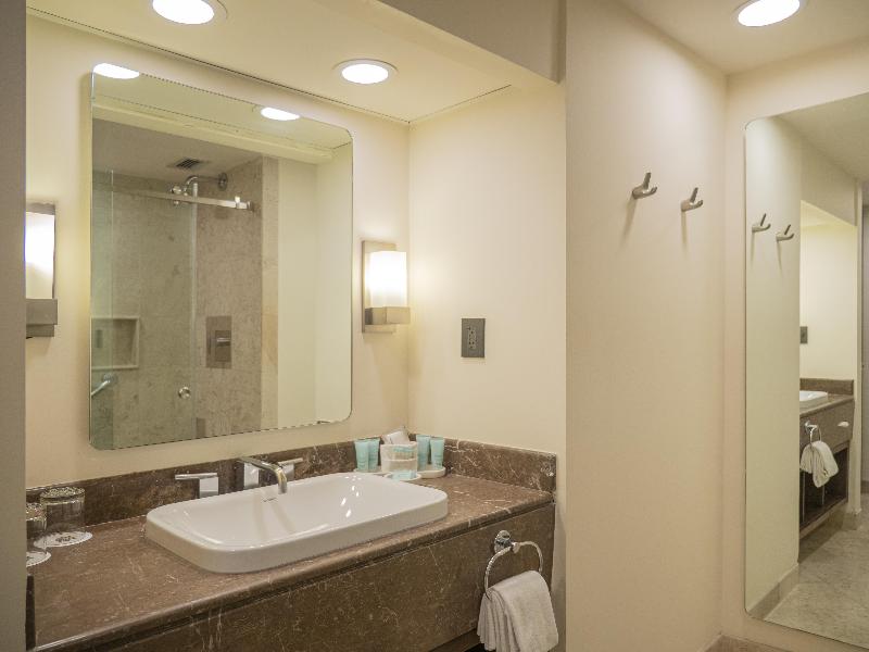 MS Milenium Monterrey, Curio Collection by Hilton image