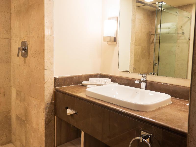 MS Milenium Monterrey, Curio Collection by Hilton image