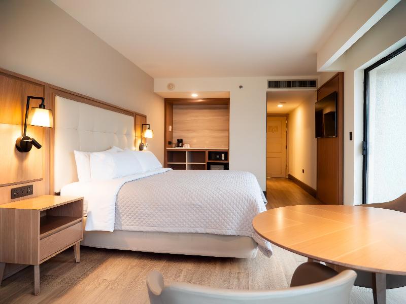 MS Milenium Monterrey, Curio Collection by Hilton image
