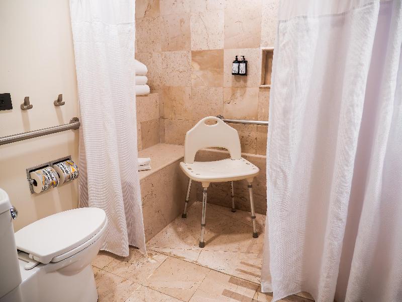 MS Milenium Monterrey, Curio Collection by Hilton image