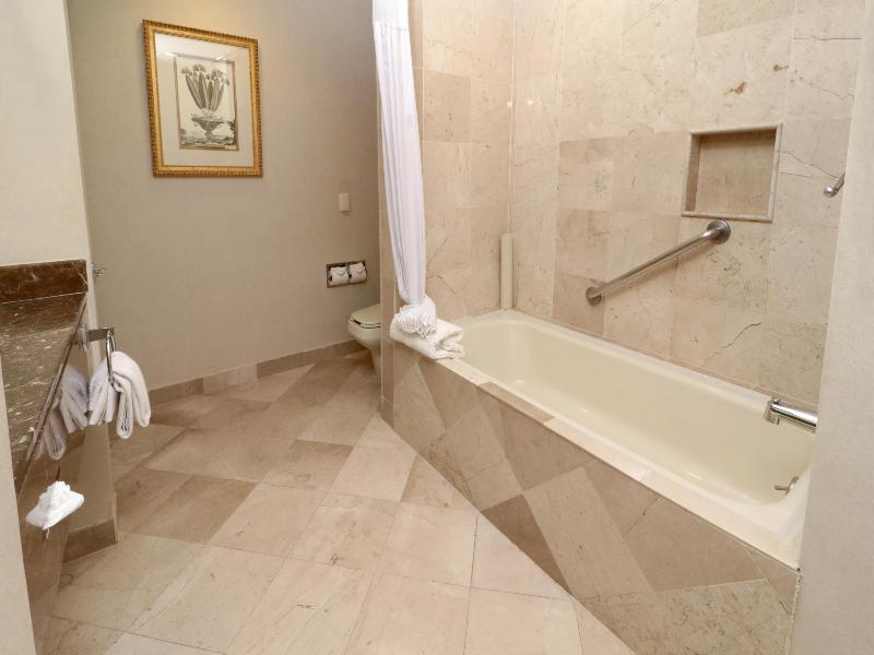 MS Milenium Monterrey, Curio Collection by Hilton image