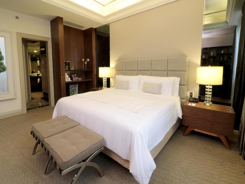 MS Milenium Monterrey, Curio Collection by Hilton image