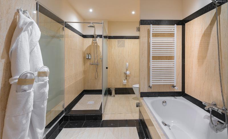 Elba Estepona Gran Hotel & Thalasso Spa image