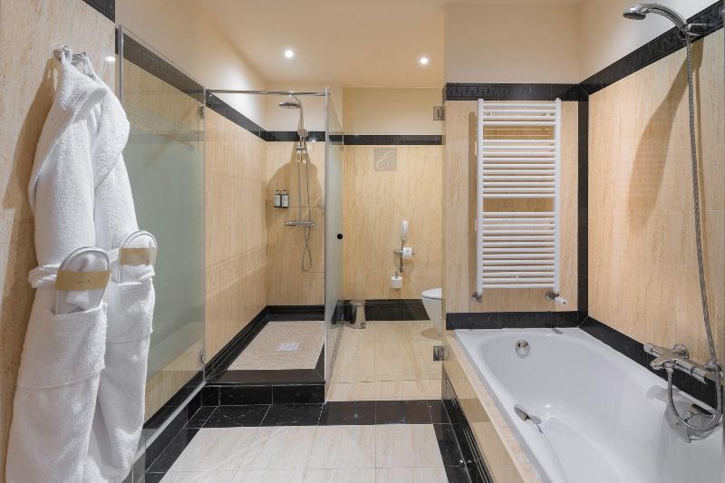 Elba Estepona Gran Hotel & Thalasso Spa image