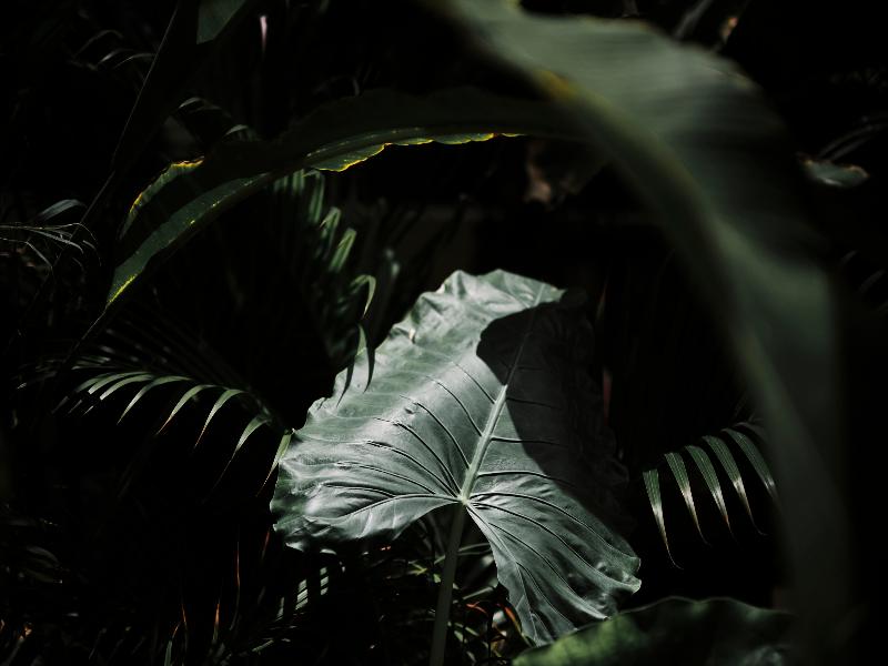 NYX Cancun image