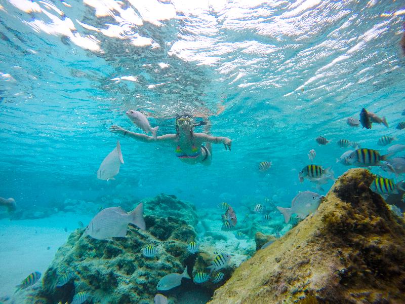 Mia Reef Isla Mujeres All Inclusive Resort image
