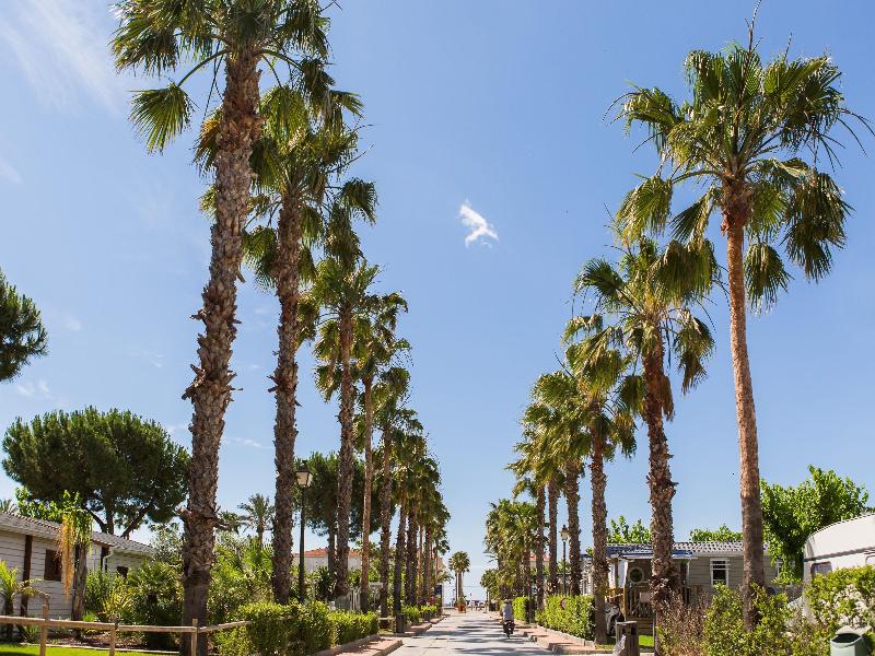 Estival Vendrell Platja image