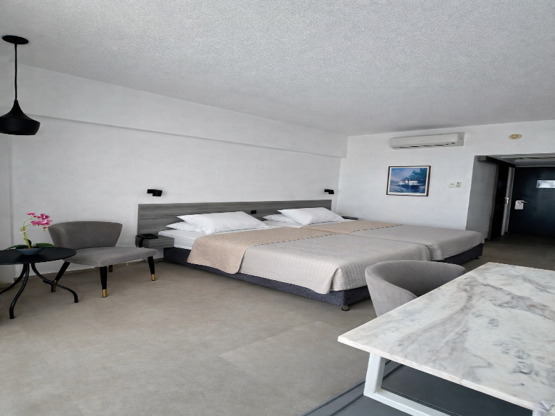 NAVARRIA HOTEL image