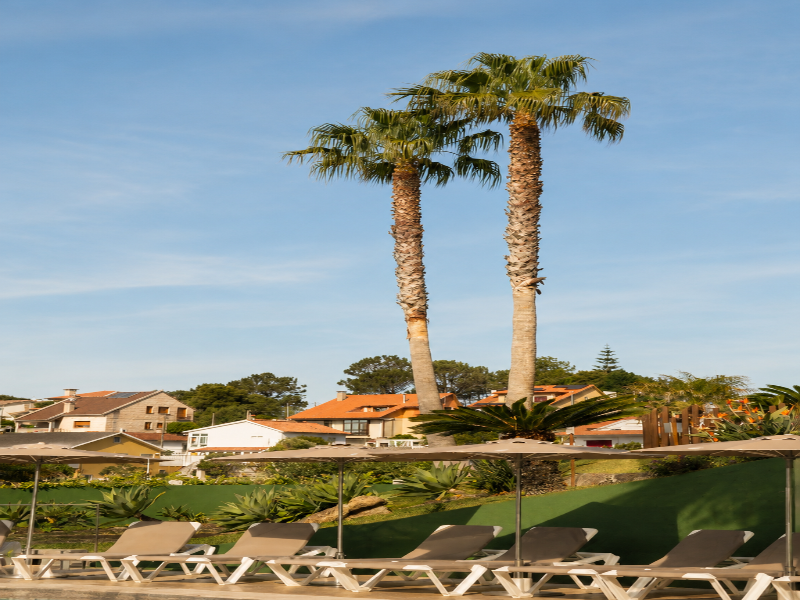 Apartamentos Atlantico Resort image