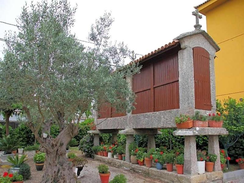 Delfin Azul — general view