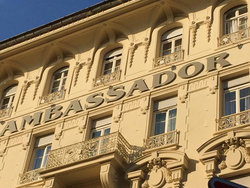Ambassador Nice