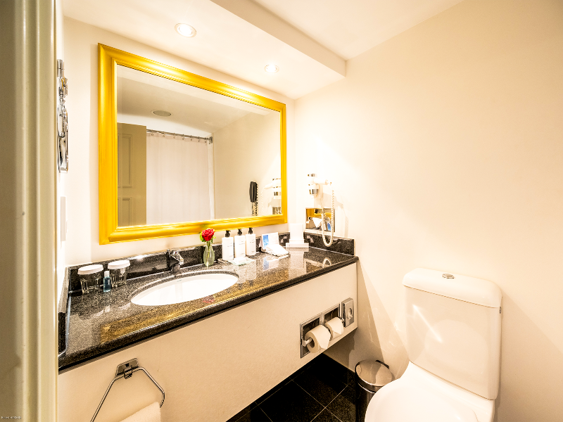 Intercontinental Vienna image