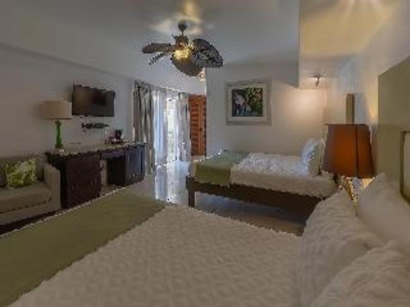 Villa Taina image