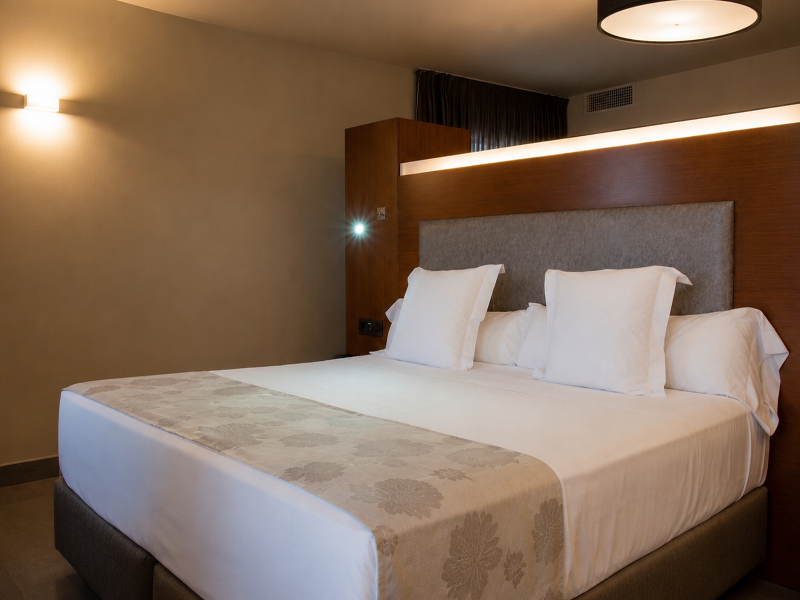 Hotel Sancho Abarca Petit Spa image