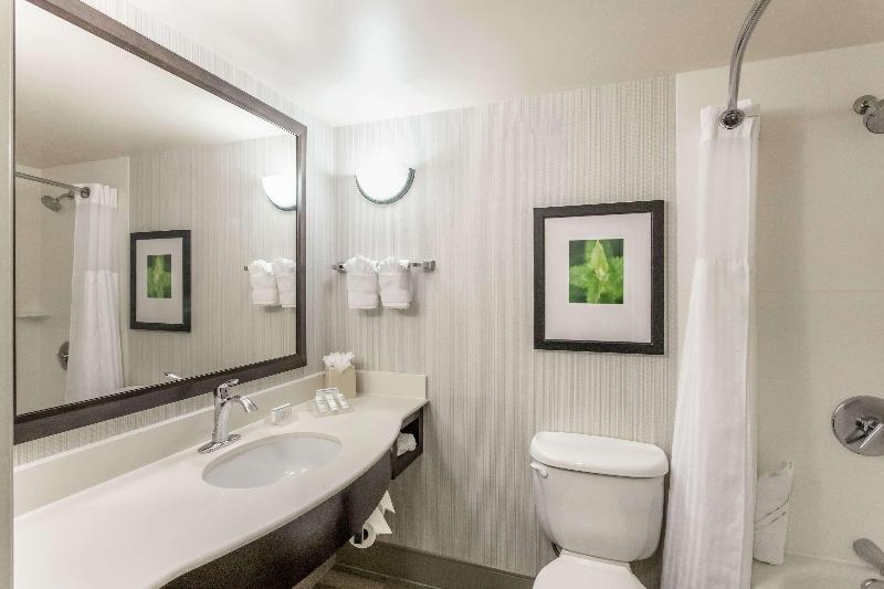 Hilton Garden Inn Orlando at SeaWorld image