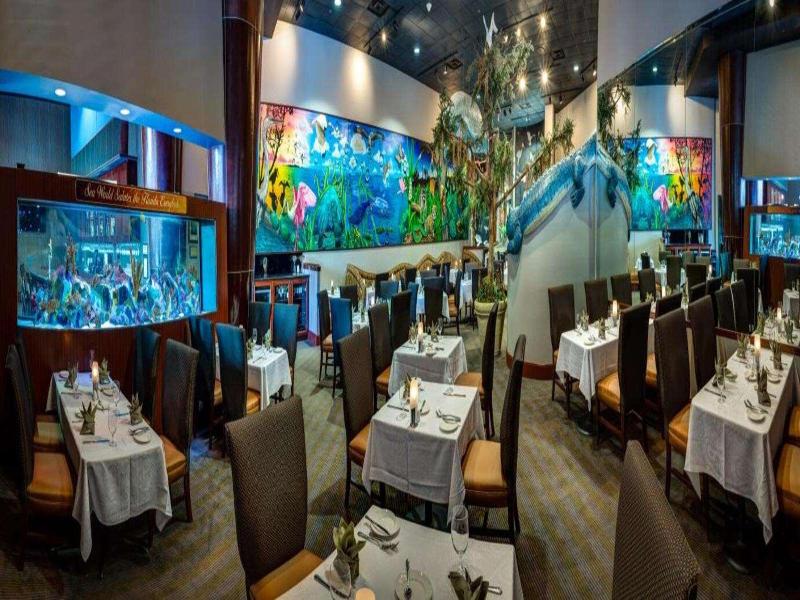 Rosen Centre Resort image
