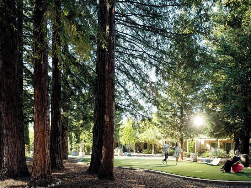 Napa Valley Marriott Hotel & Spa image